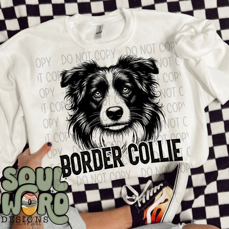 Border Collie Dog Portrait Single Color- DIGITAL DOWNLOAD
