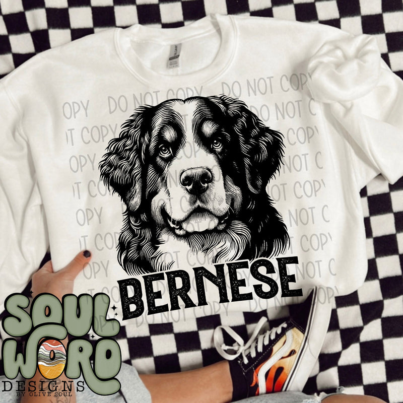 Bernese Dog Portrait Single Color - DIGITAL DOWNLOAD