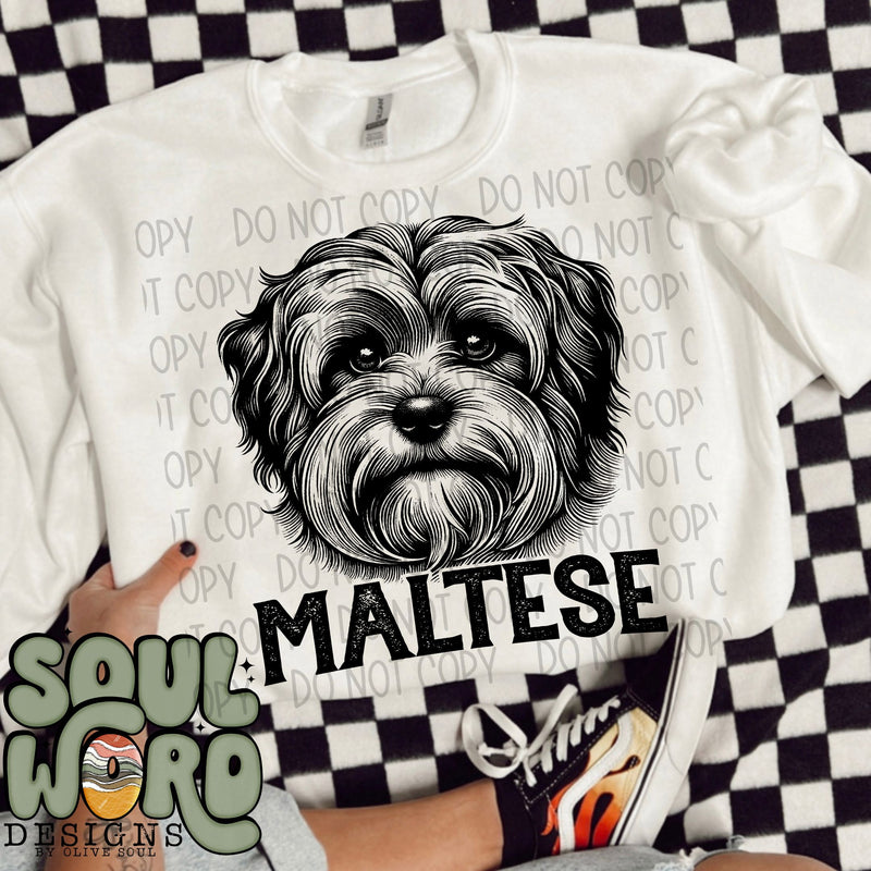 Maltese Dog Portrait Single Color - DIGITAL DOWNLOAD