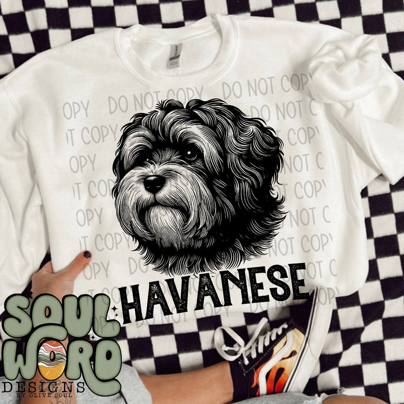 Havanese Dog Portrait Single Color - DIGITAL DOWNLOAD