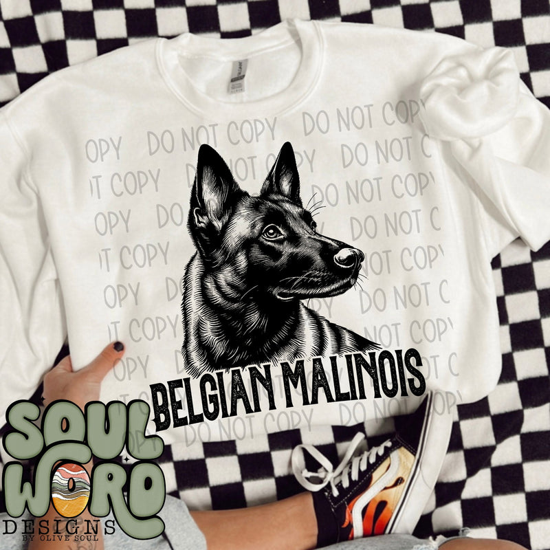 Belgian Malinois Dog Portrait Single Color - DIGITAL DOWNLOAD