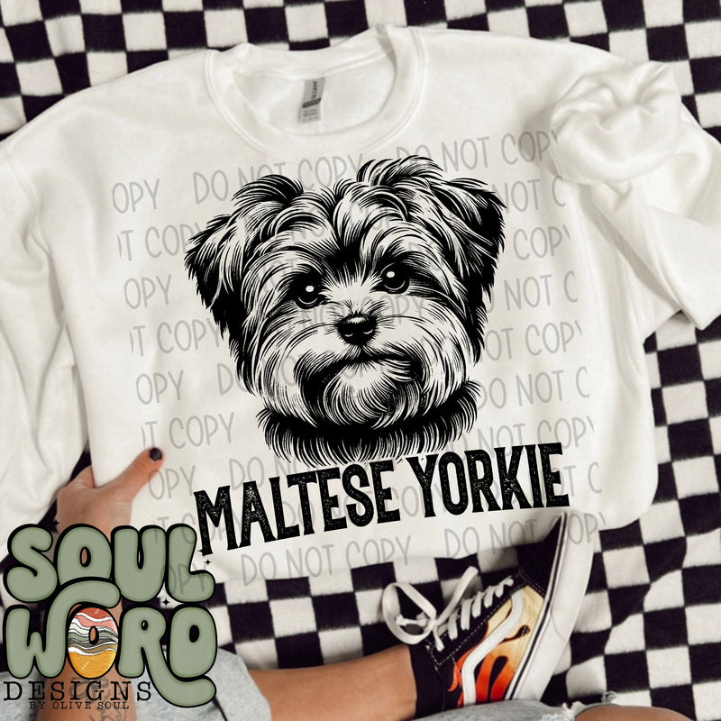 Maltese Yorkie Dog Portrait Single Color - DIGITAL DOWNLOAD