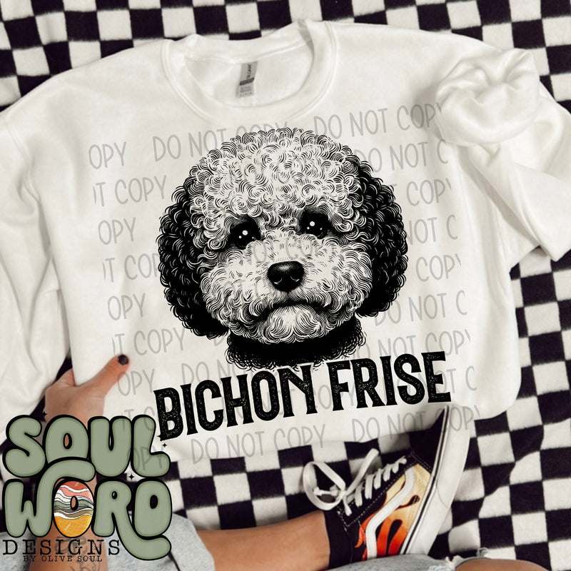 Bichon Frise Dog Portrait Single Color - DIGITAL DOWNLOAD