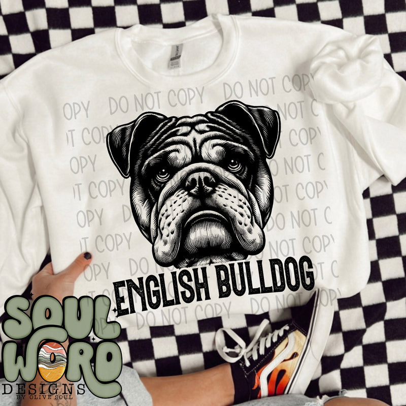 English Bulldog Dog Portrait Single Color - DIGITAL DOWNLOAD