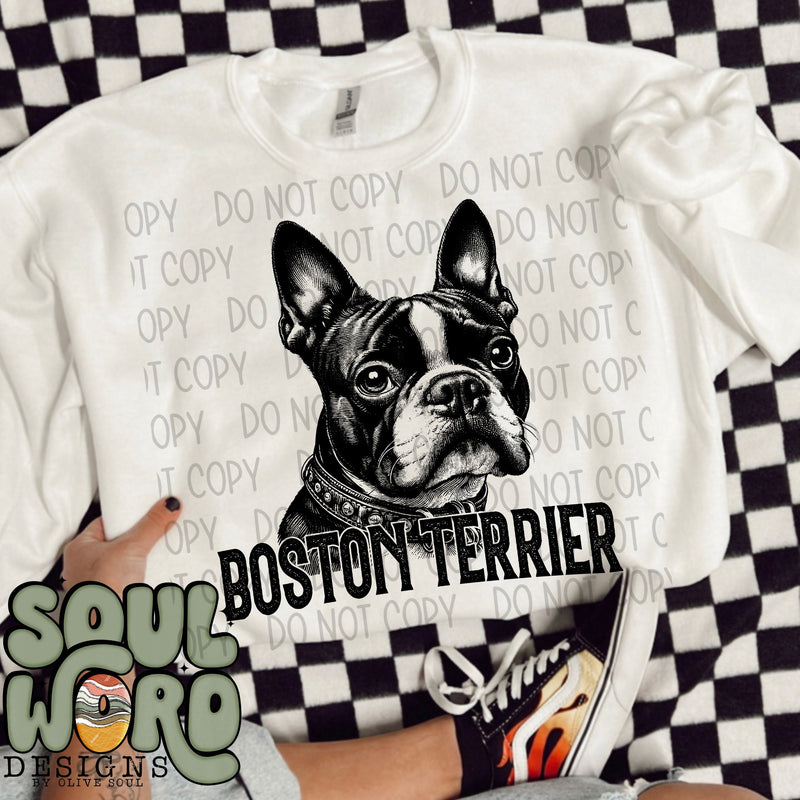 Boston Terrier Dog Portrait Single Color - DIGITAL DOWNLOAD