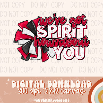 We've Got Spirit How About You - DIGITAL DOWNLOAD