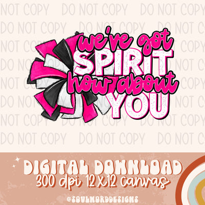 We've Got Spirit How About You - DIGITAL DOWNLOAD