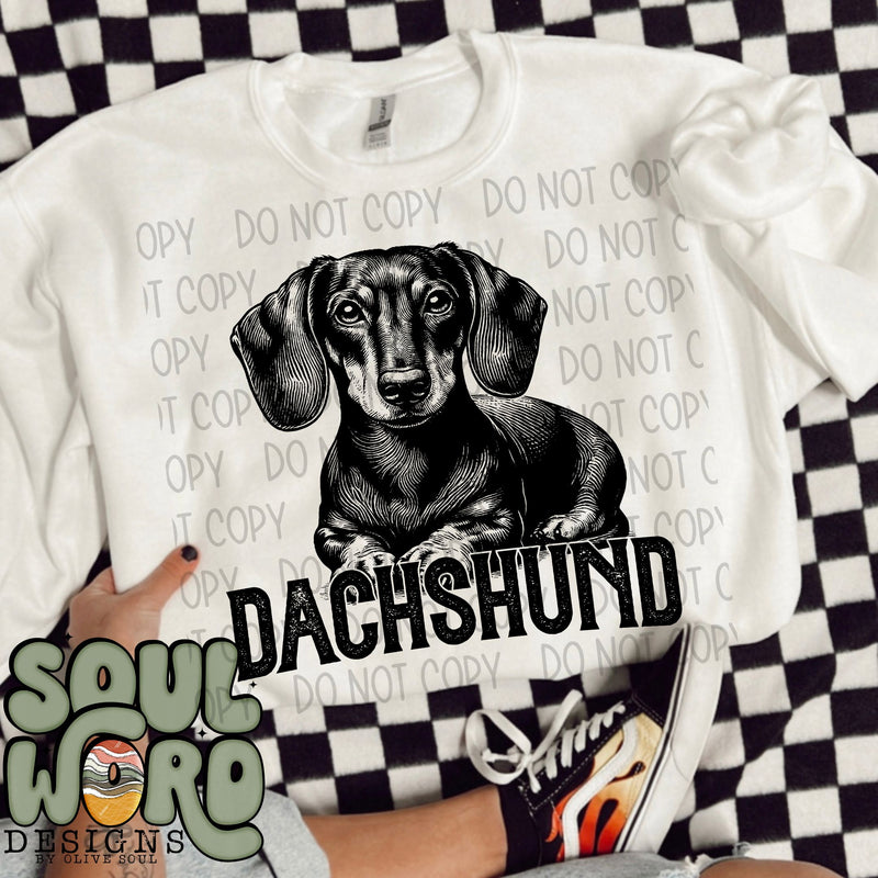 Dachshund Short Hair Dog Portrait Single Color - DIGITAL DOWNLOAD