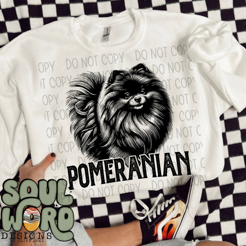 Pomeranian Dog Portrait Single Color - DIGITAL DOWNLOAD